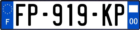FP-919-KP