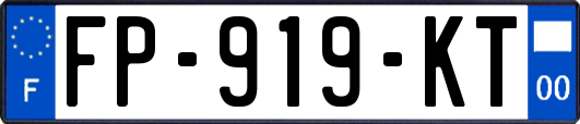 FP-919-KT