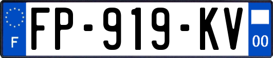 FP-919-KV