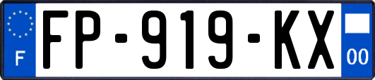 FP-919-KX
