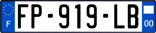 FP-919-LB