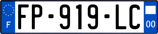 FP-919-LC