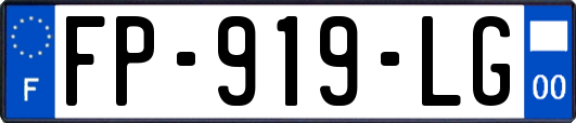 FP-919-LG