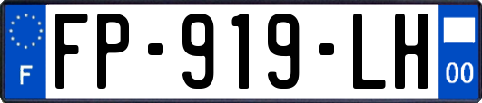 FP-919-LH