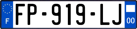 FP-919-LJ