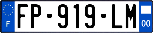 FP-919-LM