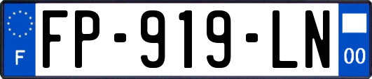 FP-919-LN