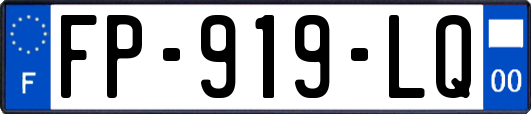 FP-919-LQ