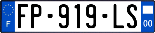 FP-919-LS