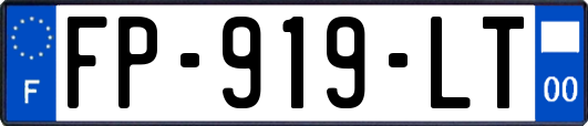 FP-919-LT