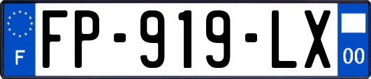 FP-919-LX