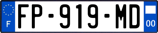 FP-919-MD