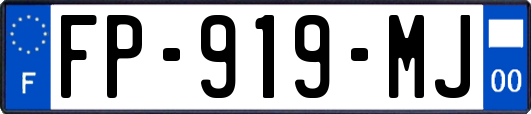 FP-919-MJ