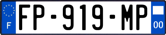 FP-919-MP