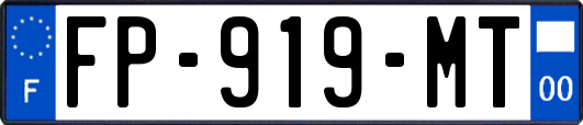 FP-919-MT