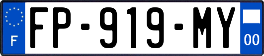 FP-919-MY