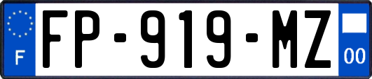 FP-919-MZ