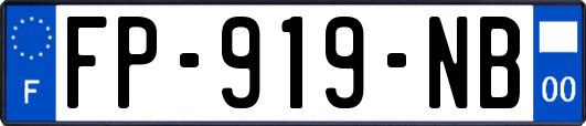 FP-919-NB