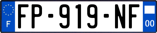 FP-919-NF
