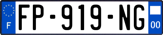 FP-919-NG