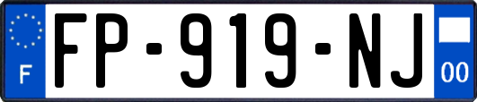 FP-919-NJ
