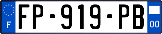 FP-919-PB