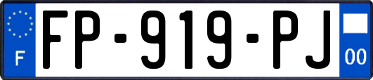 FP-919-PJ