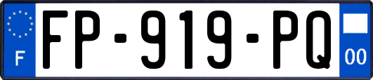 FP-919-PQ