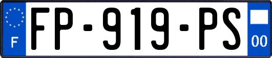 FP-919-PS