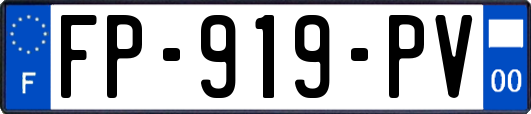 FP-919-PV