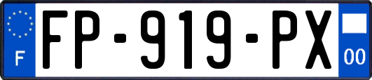 FP-919-PX