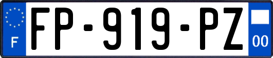 FP-919-PZ