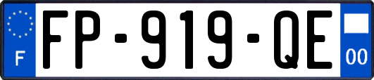 FP-919-QE