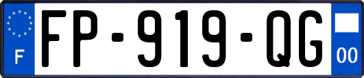FP-919-QG
