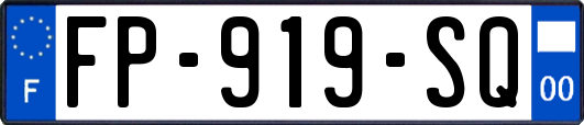 FP-919-SQ