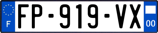 FP-919-VX