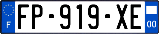 FP-919-XE