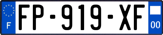 FP-919-XF
