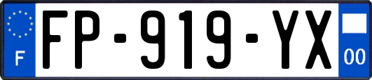 FP-919-YX