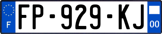 FP-929-KJ