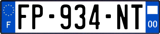 FP-934-NT