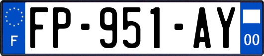 FP-951-AY