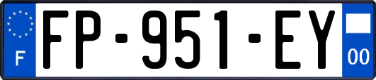 FP-951-EY