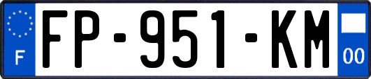 FP-951-KM