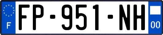 FP-951-NH