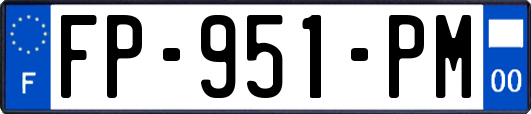 FP-951-PM