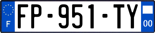 FP-951-TY