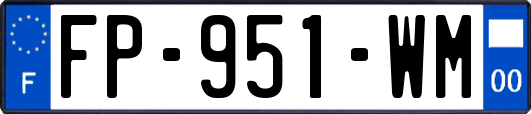 FP-951-WM