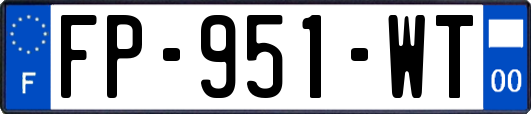 FP-951-WT