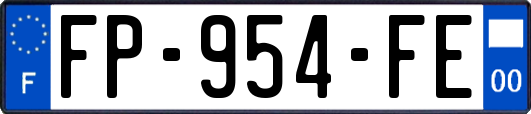 FP-954-FE